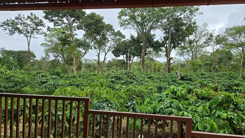 Coffee Country Coorg