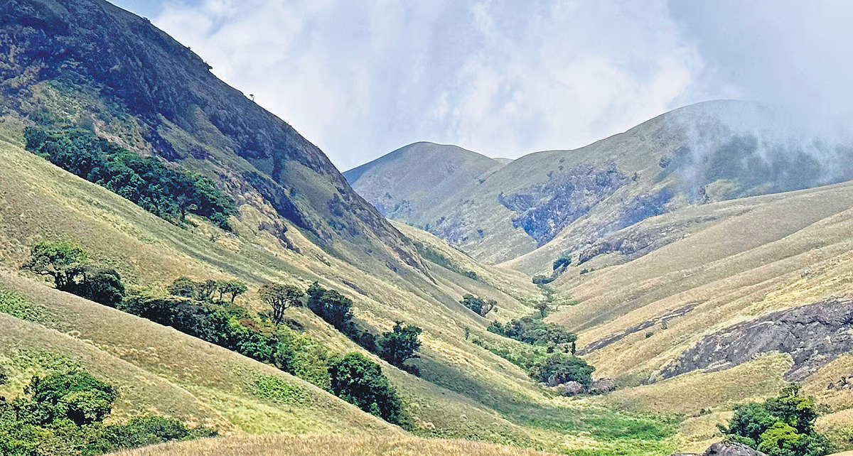 Nilgiri Nature Trail